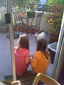 Picture 010
